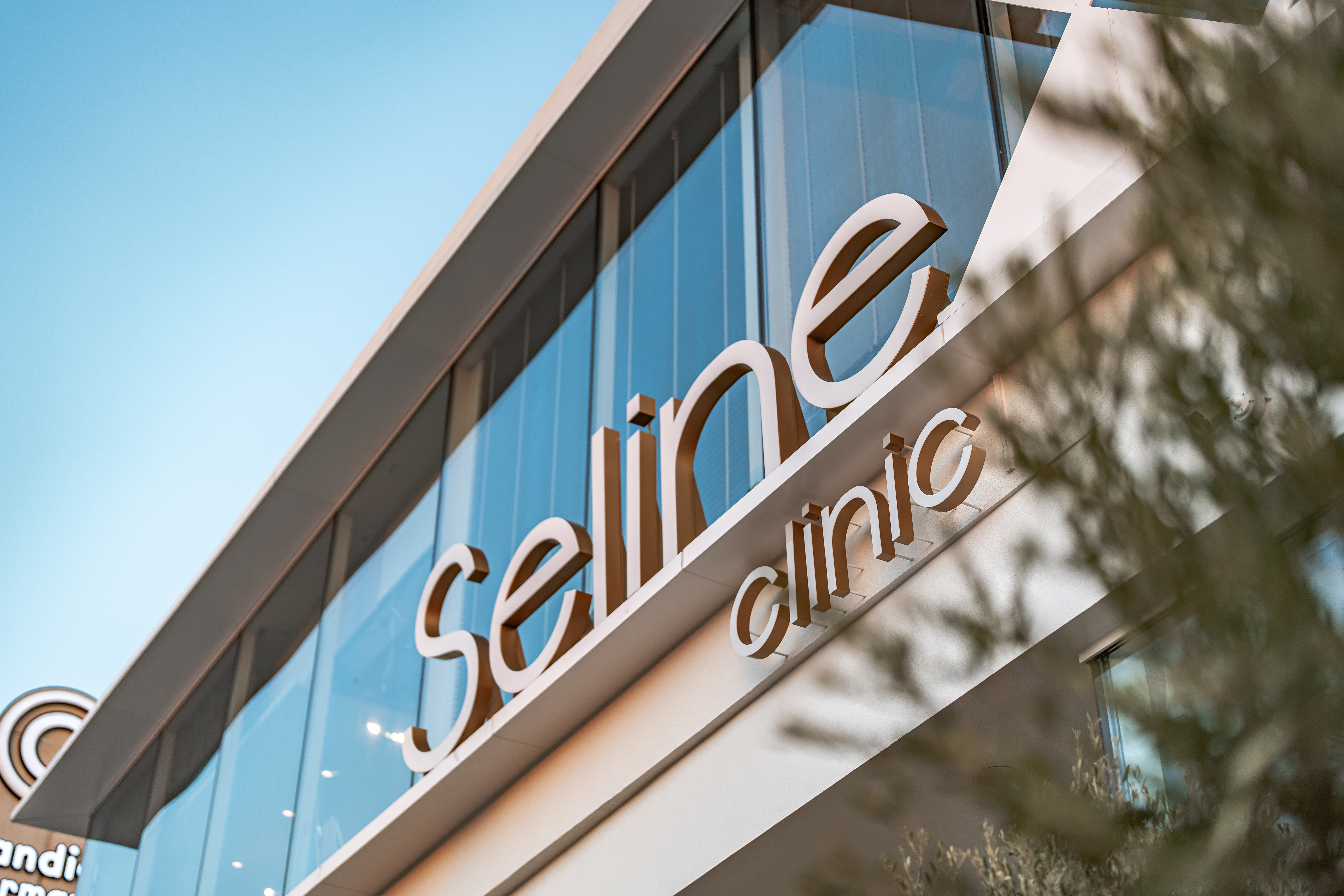 Seline Clinic Dubai, Hair Restoration in Umm Suqeim 1